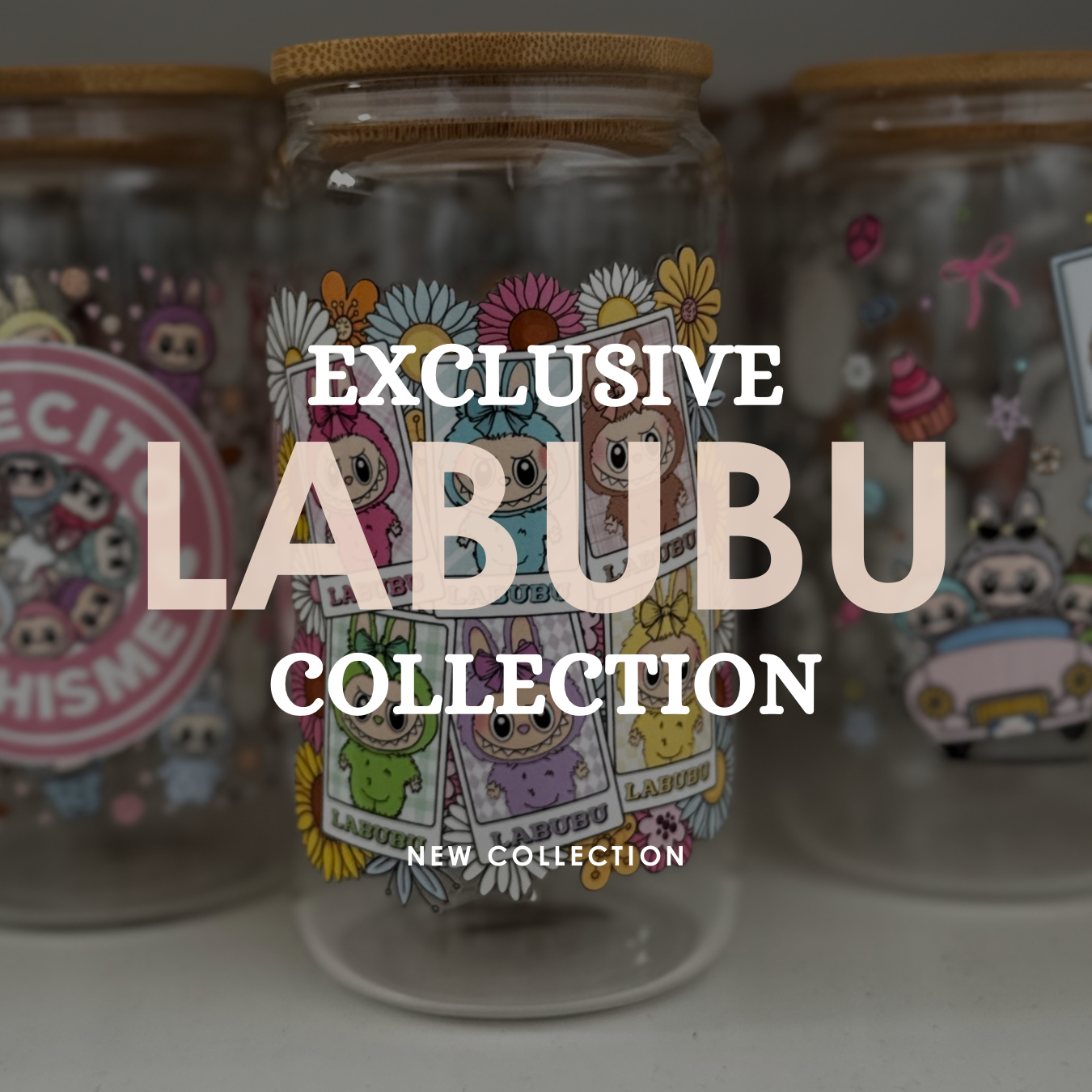 Exclusive Labubu Collection