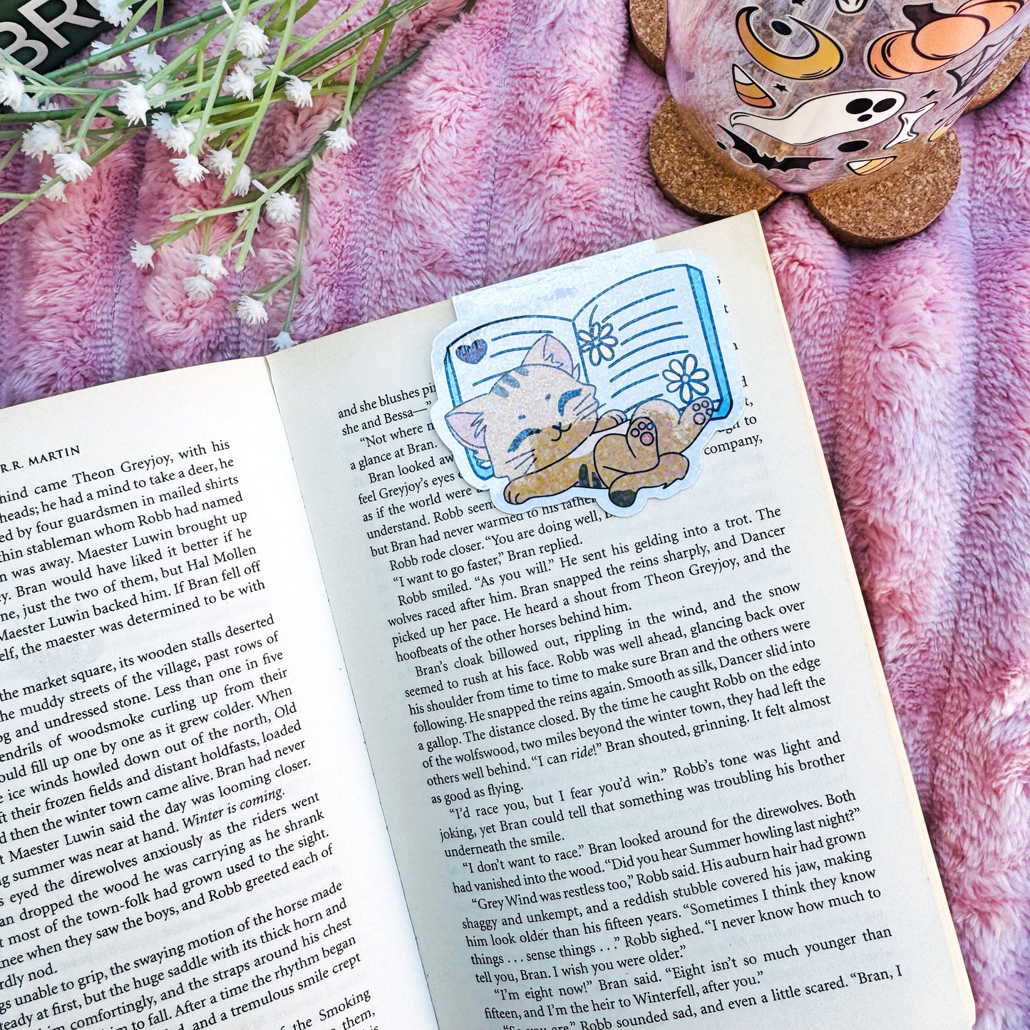 Fall  Cozy Cat Sleeping with Books Magnetic bookmark for book lovers