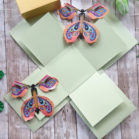 EXPLODING FIT BOX WITH BUTTERFLIES
